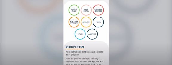 How to use the search functionality