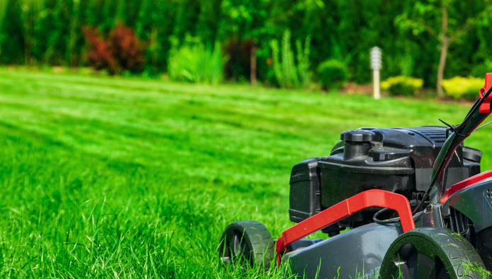 Breaking the grass ceiling: Meet the woman revolutionising the lawn care industry