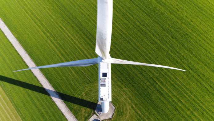 Getting your business to Net Zero by 2050