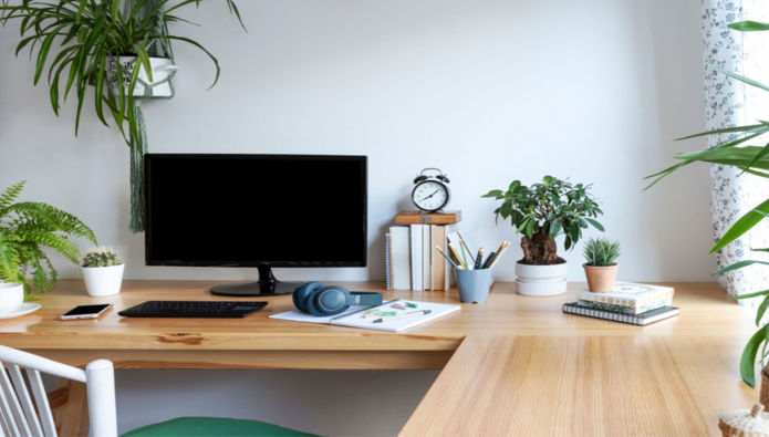 How office plants can improve productivity in the workplace