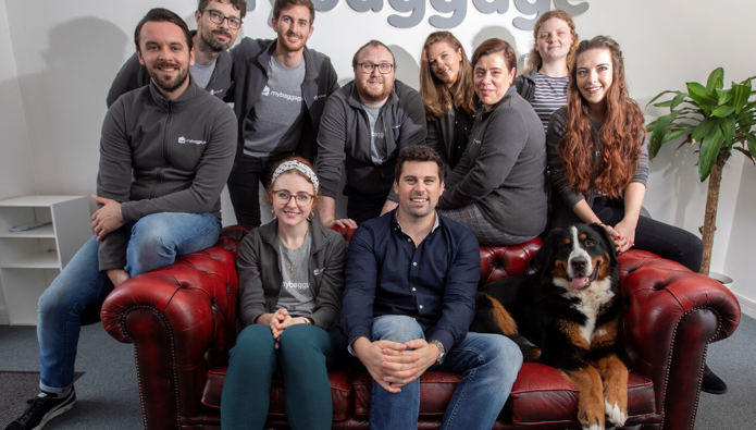 Workplace Pet: Heidi the Bernese Mountain Dog