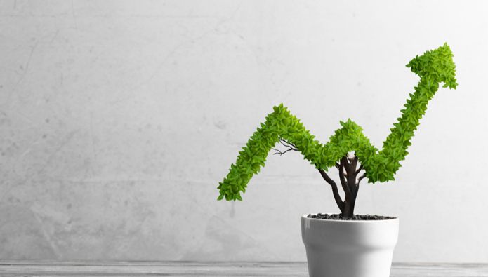 The fundamentals of raising investment