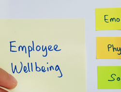 Supporting employees who are experiencing challenges with addiction and mental ill health